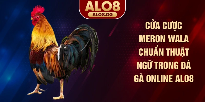 Cửa cược Meron Wala chuẩn thuật ngữ trong đá gà online ALO8