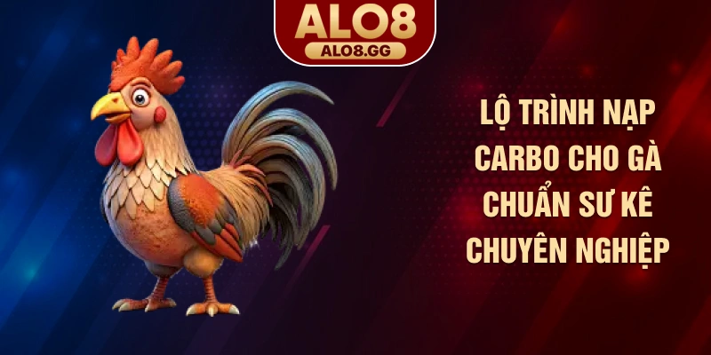Lộ trình nạp carbo cho gà chuẩn sư kê chuyên nghiệp
