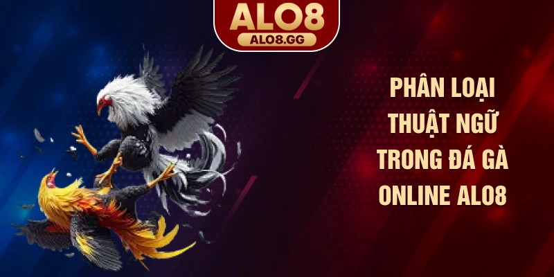Phân loại thuật ngữ trong đá gà online ALO8