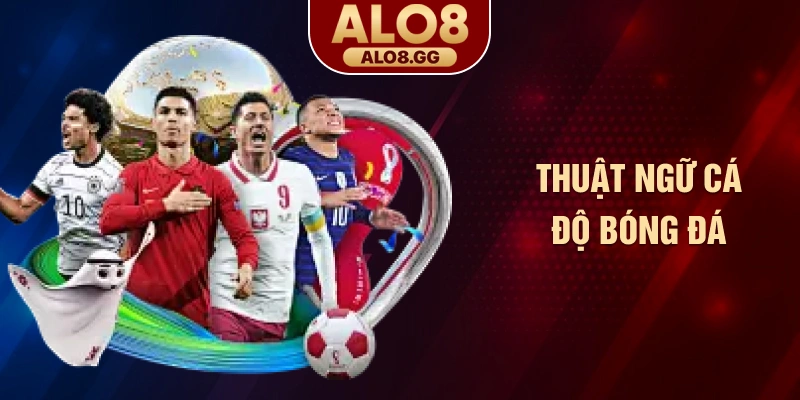 Thuật ngữ cá độ bóng đá
